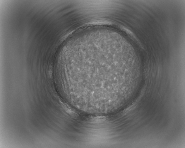 X0000063510833200602101923