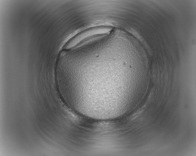 X0000063510834200602101923