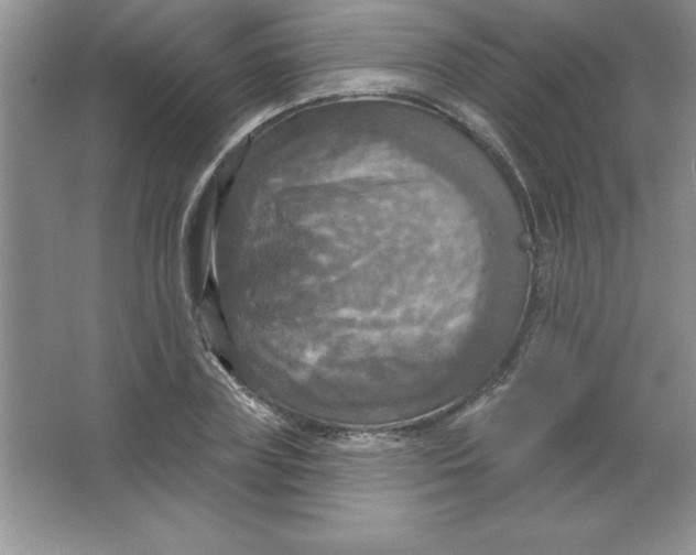 X0000063510835200602101923