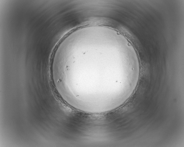 X0000063510836200602101923