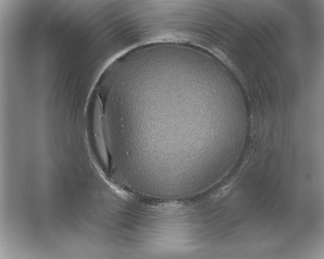 X0000063510838200602101923