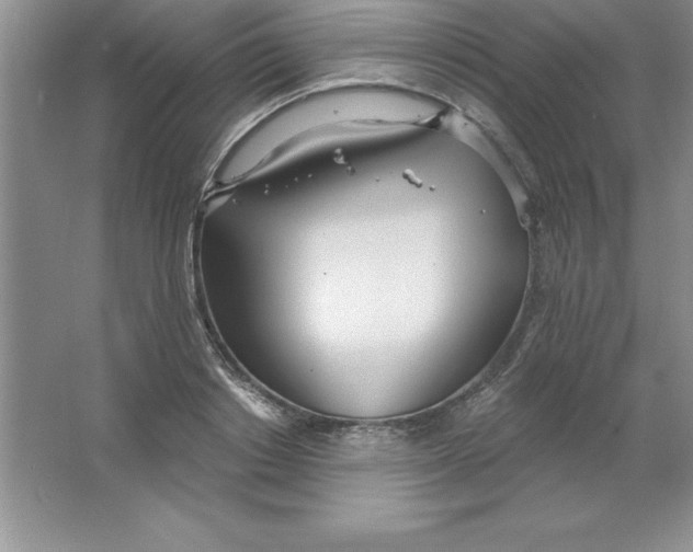 X0000063510842200602101923