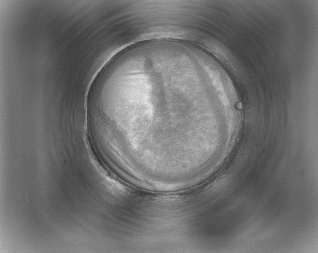 X0000063510844200602101923