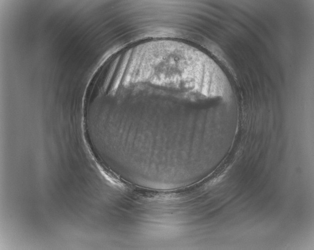 X0000063510845200602101923