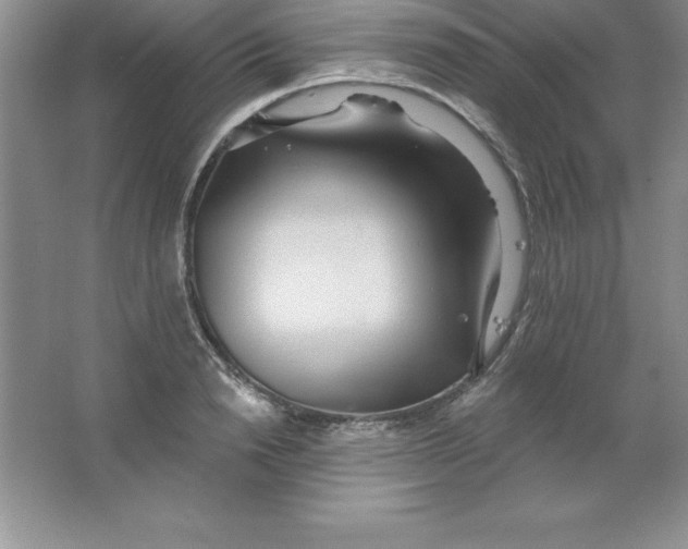 X0000063510846200602101923