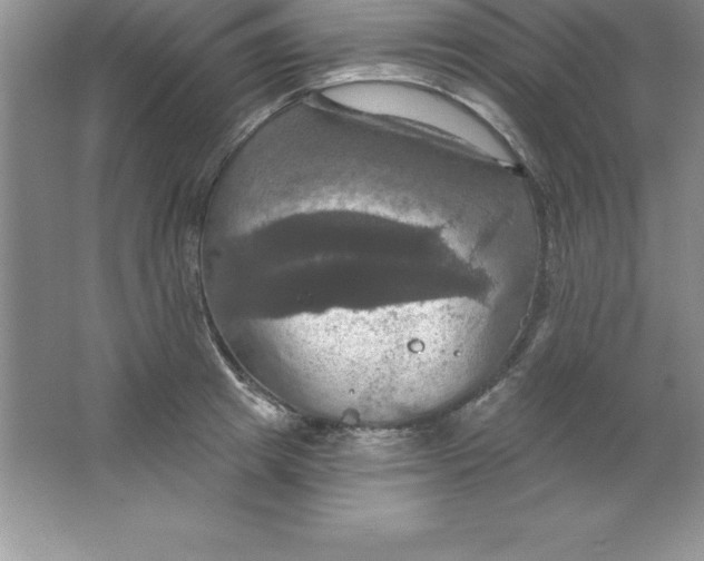 X0000063510849200602101923