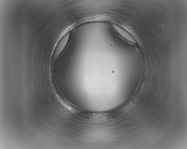 X0000063510850200602101923