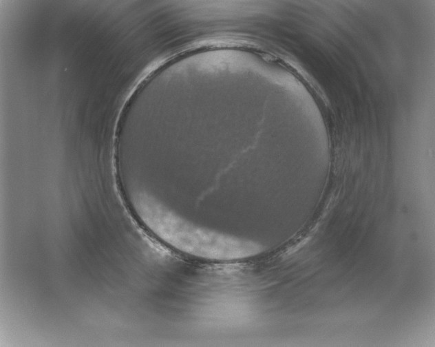 X0000063510853200602101923