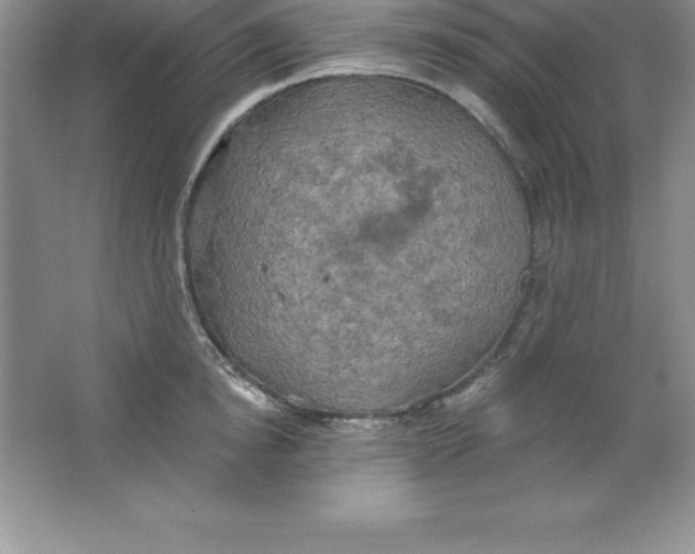 X0000063510854200602101923