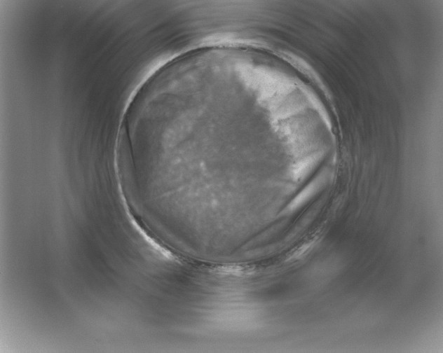 X0000063510855200602101923