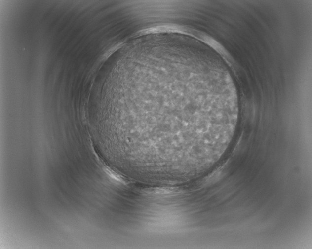 X0000063510857200602101923