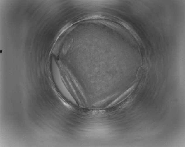 X0000063510858200602101924