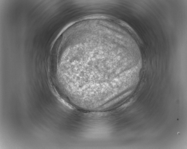 X0000063510860200602101924