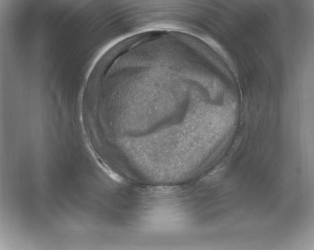 X0000063510862200602101924