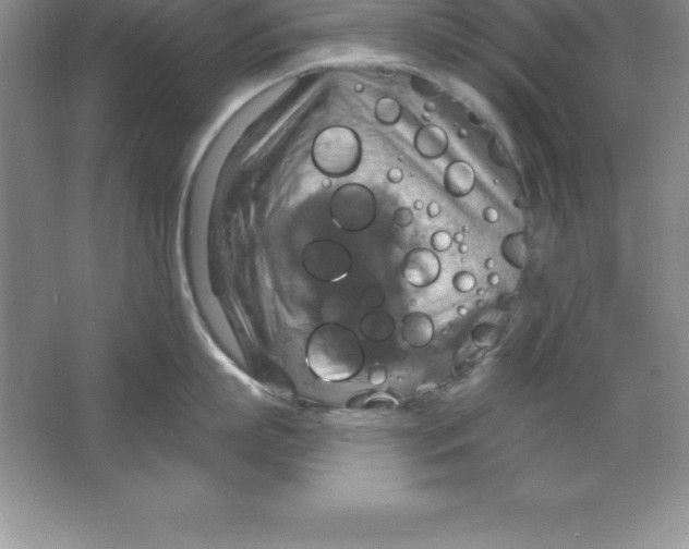 X0000063510863200602101924