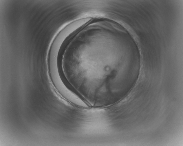 X0000063510864200602101924