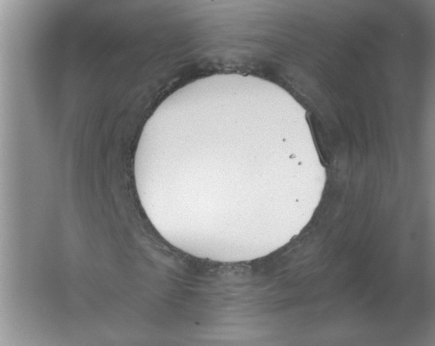 X0000063510865200602101923