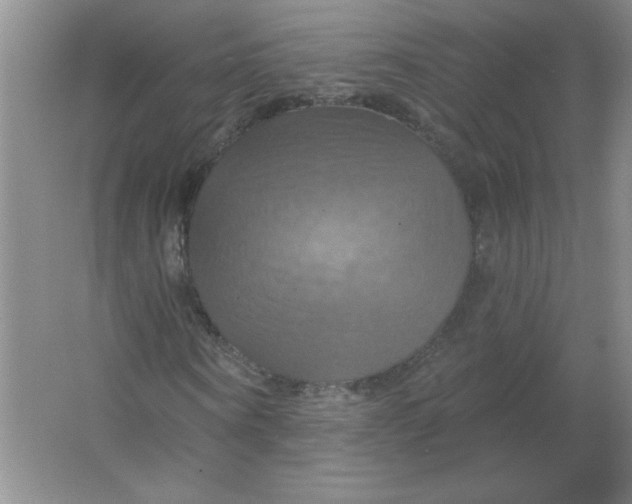 X0000063510866200602101923