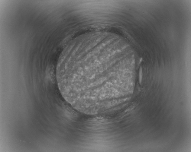 X0000063510867200602101923