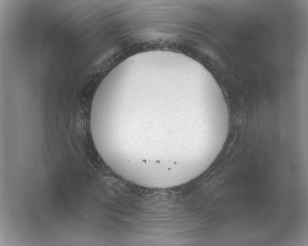 X0000063510869200602101923