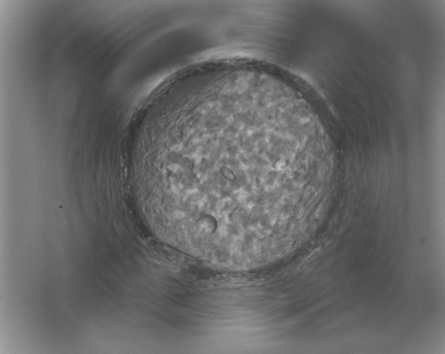 X0000063510871200602101923