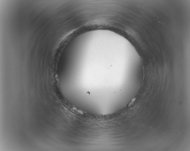 X0000063510872200602101923