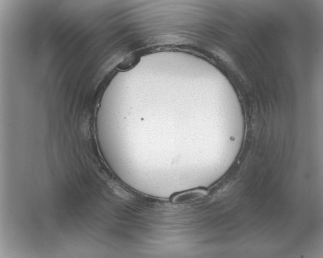 X0000063510873200602101923