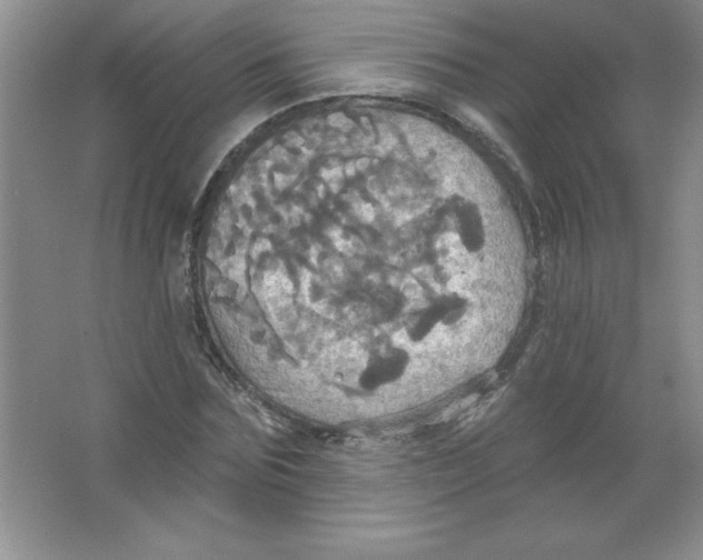 X0000063510875200602101923