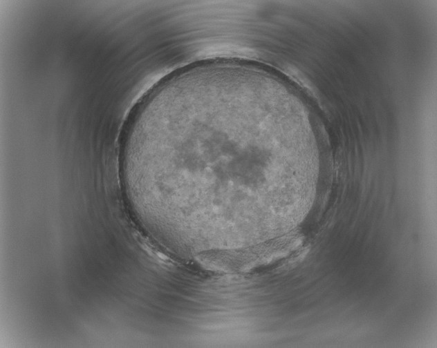 X0000063510877200602101923