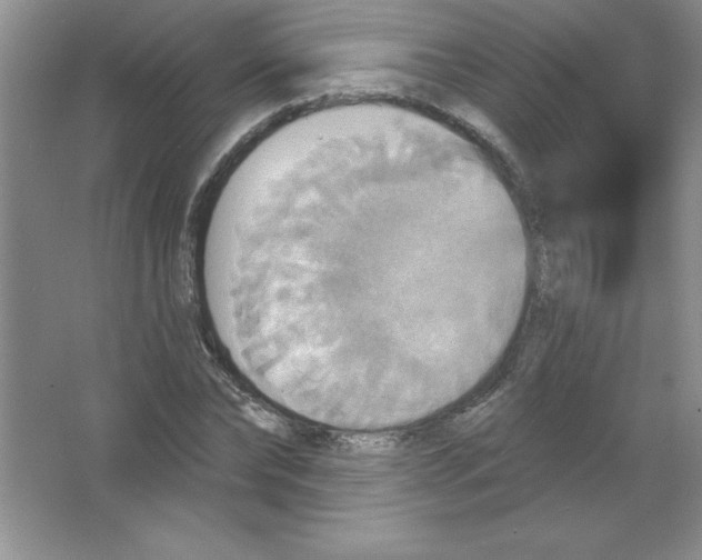 X0000063510878200602101923