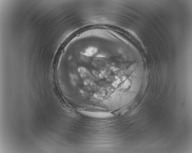 X0000063510879200602101923