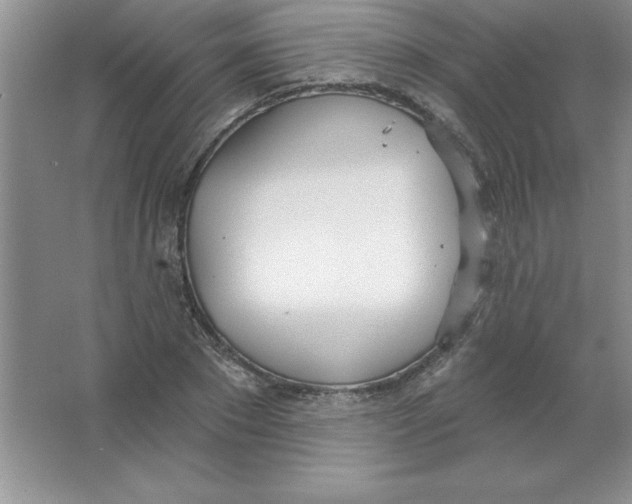 X0000063510881200602101923