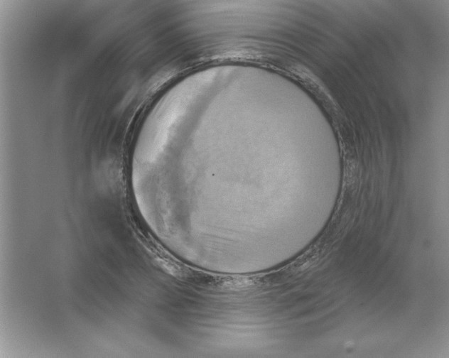 X0000063510882200602101922