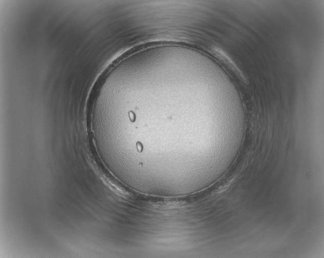 X0000063510884200602101922