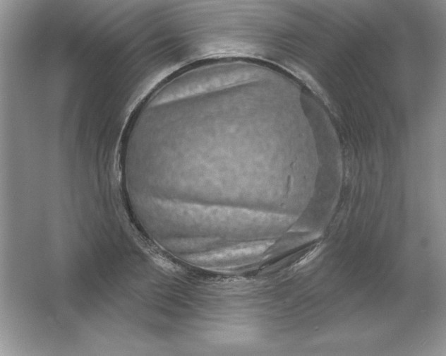 X0000063510885200602101922