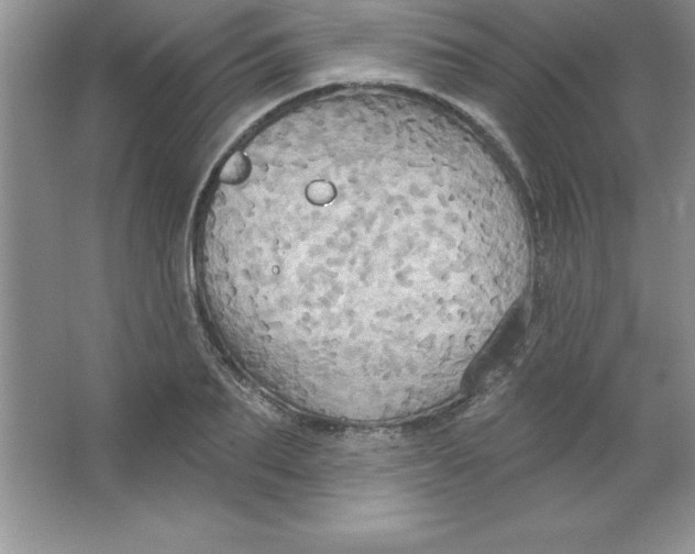 X0000063510887200602101922