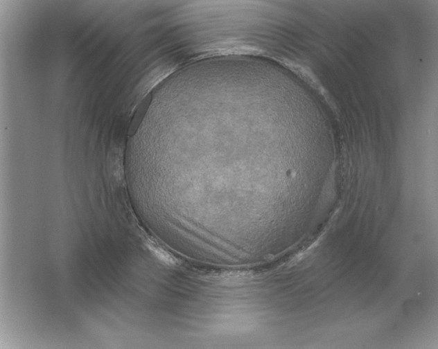 X0000063510889200602101922