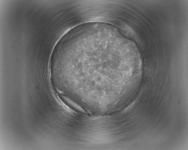 X0000063510892200602101922