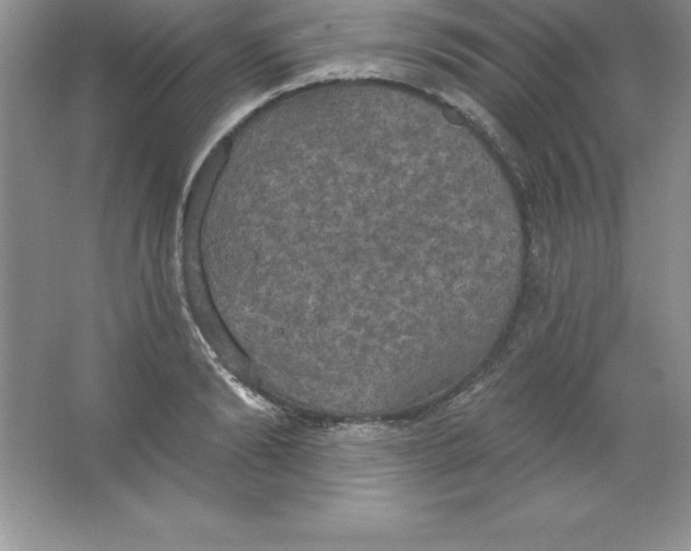 X0000063510894200602101922