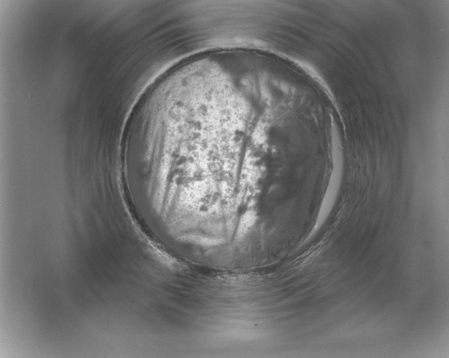 X0000063510895200602101922