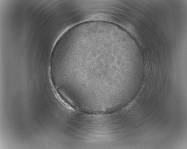 X0000063510896200602101922