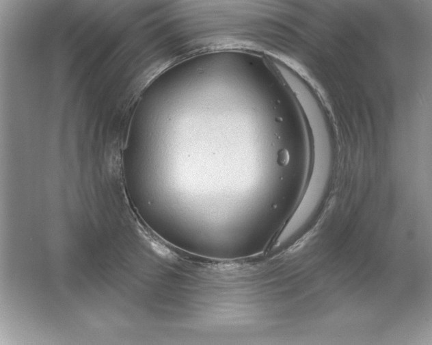 X0000063510897200602101922