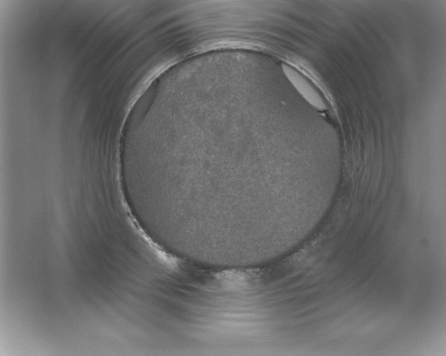 X0000063510898200602101922