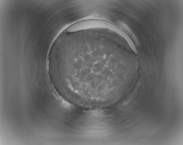 X0000063510900200602101922