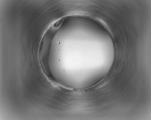 X0000063510901200602101922