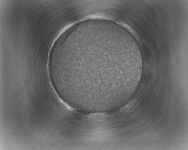 X0000063510902200602101922