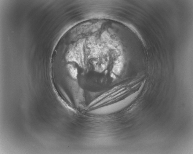 X0000063510903200602101922