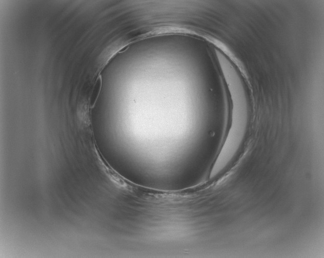 X0000063510905200602101922