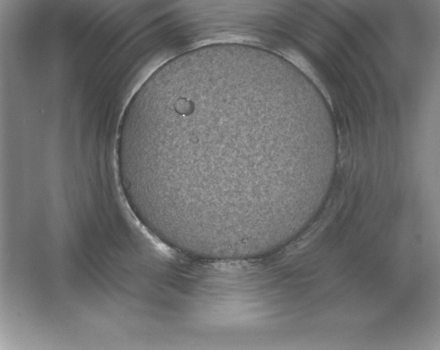 X0000063510906200602101922