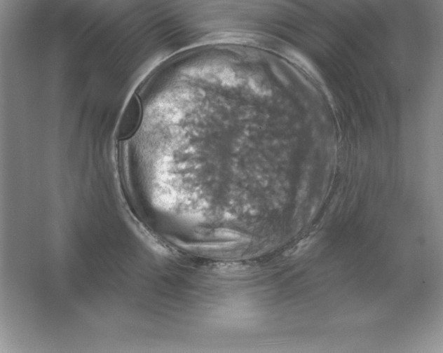 X0000063510907200602101922